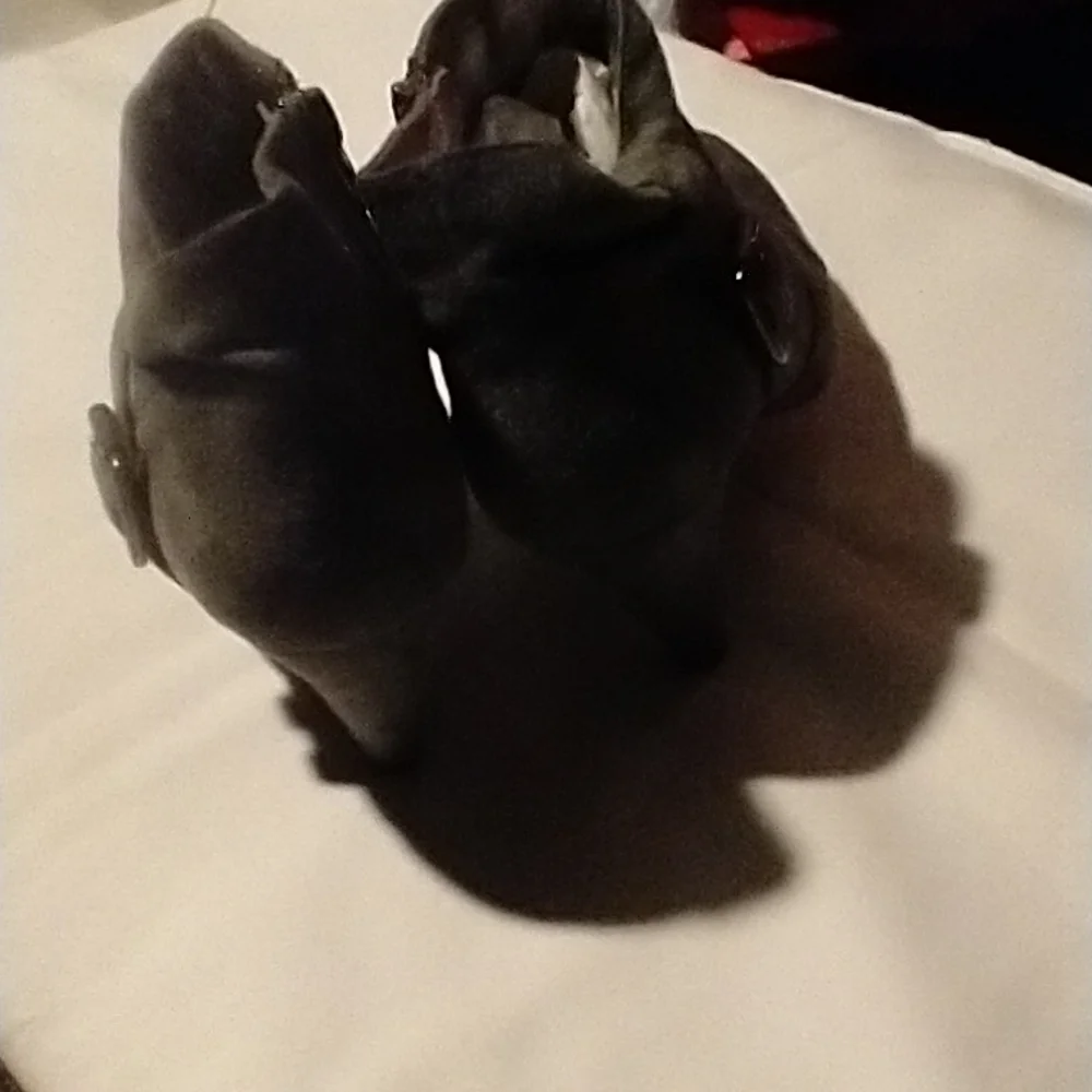 Boots - Picture 6 of 7